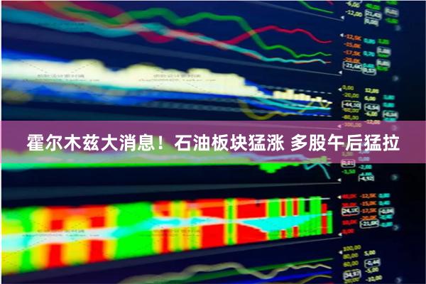 霍尔木兹大消息！石油板块猛涨 多股午后猛拉