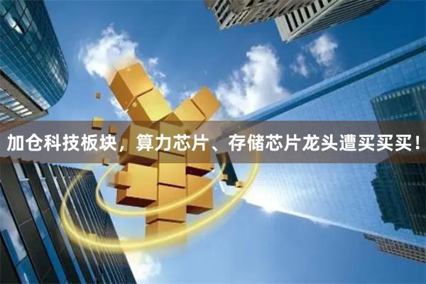 加仓科技板块，算力芯片、存储芯片龙头遭买买买！