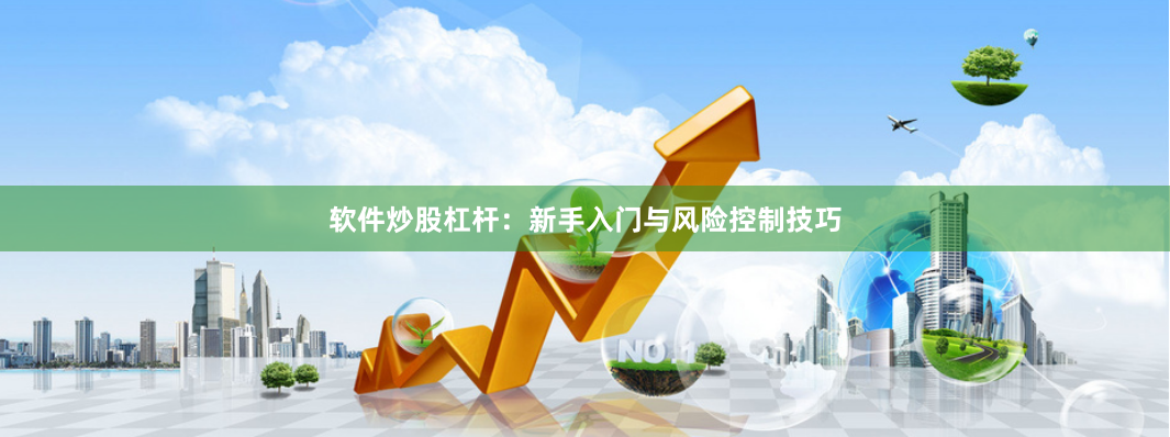 软件炒股杠杆：新手入门与风险控制技巧